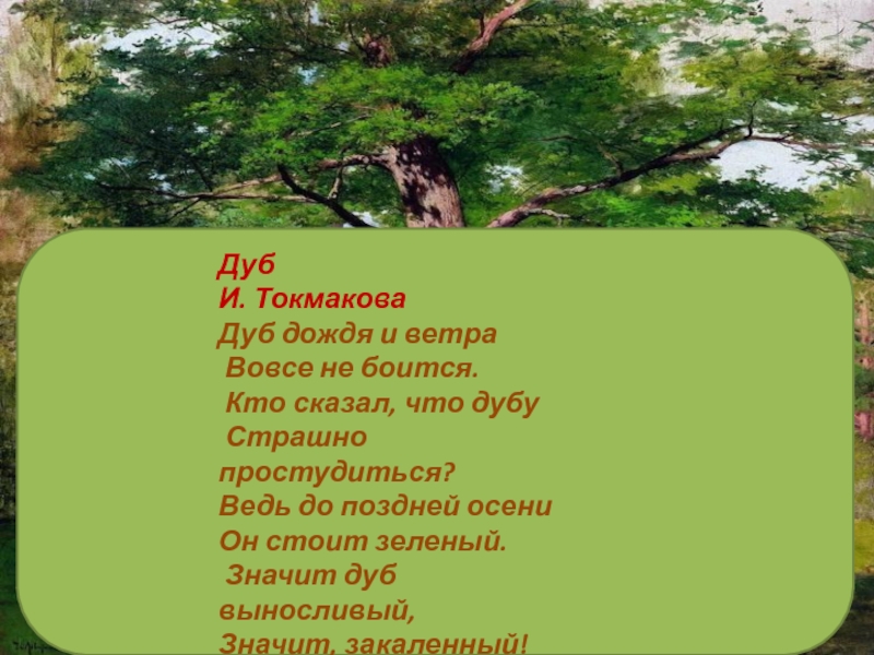 Текст дубы