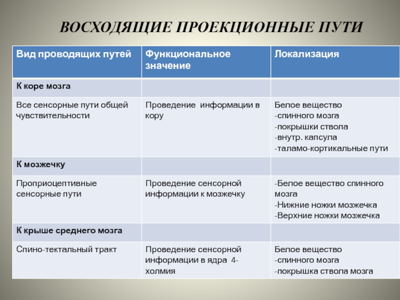 Функции восходящих и нисходящих путей