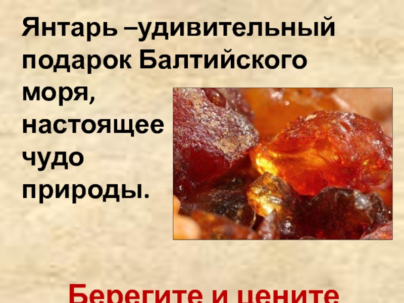 Янтарь –удивительный подарок Балтийского моря, настоящее чудо природы.Берегите и цените янтарь