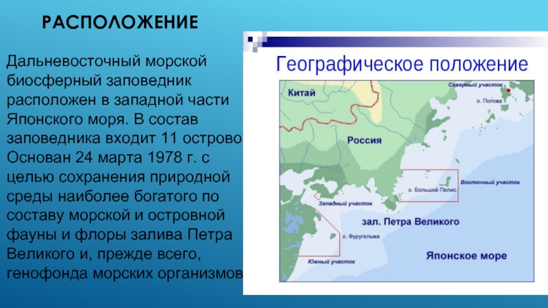 Опишите географическое положение дальневосточного района по схеме