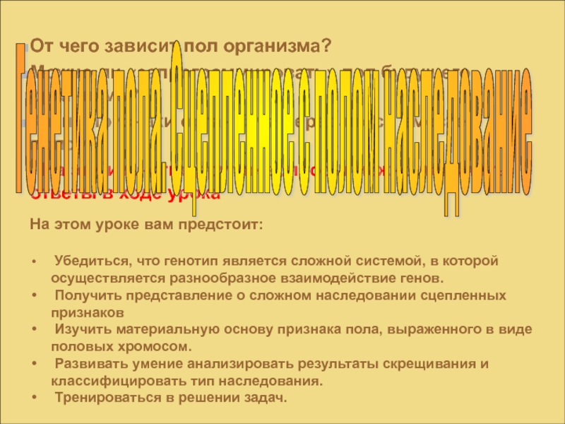 Пол зависит от хромосом