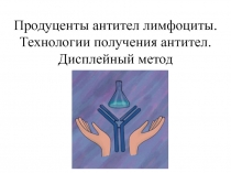 Продуценты антител лимфоциты. Технологии получения антител. Дисплейный метод