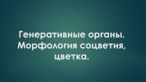 Генеративные органы. Морфология соцветия, цветка.