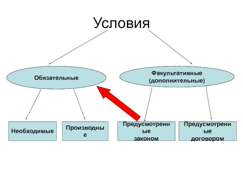 Обязательные и факультативные