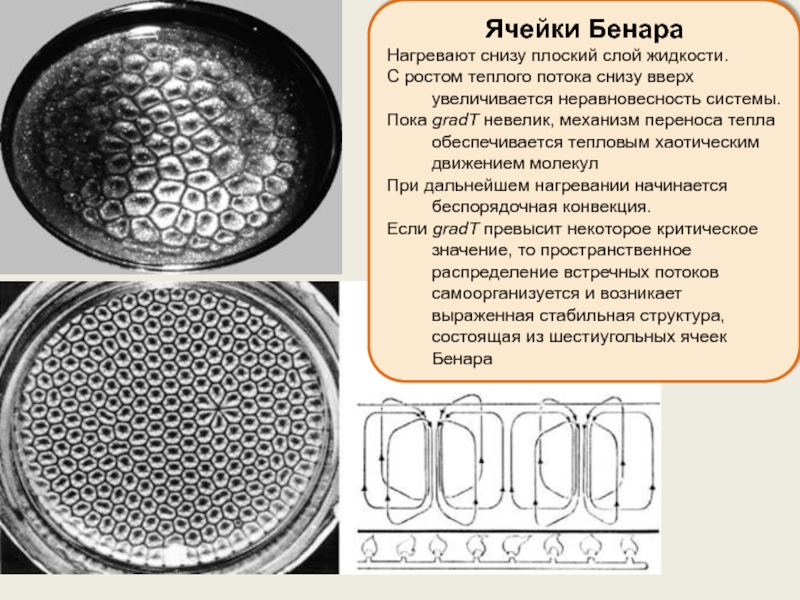 Ячейки бенара. Ячейки Рэлея Бенара. Эффект ячейки Бенара. Конвекция Бенара. Конвекция Рэлея Бенара.