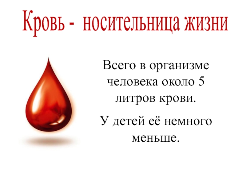 3 литра крови. 5 Литров крови. Кровь 3 класс окружающий мир. 5 Литров крови книга.