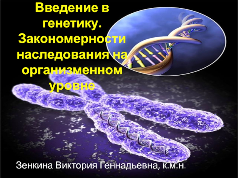 Основы генетики. Взаимодействие аллельных и неаллельных генов.