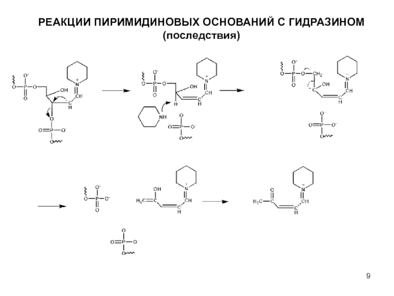 Нуклеиновые кислоты реакции. Манноза гидразон. Механизм реакции с гидразином. Взаимодействие Глюкозы с гидразин. Гидразин реакции.