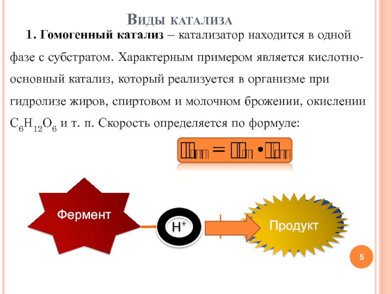 Ооо катализ проект