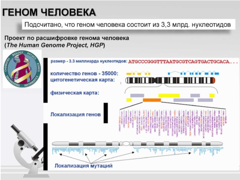 При расшифровке генома моркови было установлено 20. Физическая карта генома. Уникальные гены содержатся. Метод NGS секвенирования. Структура которая содержит собственный геном.
