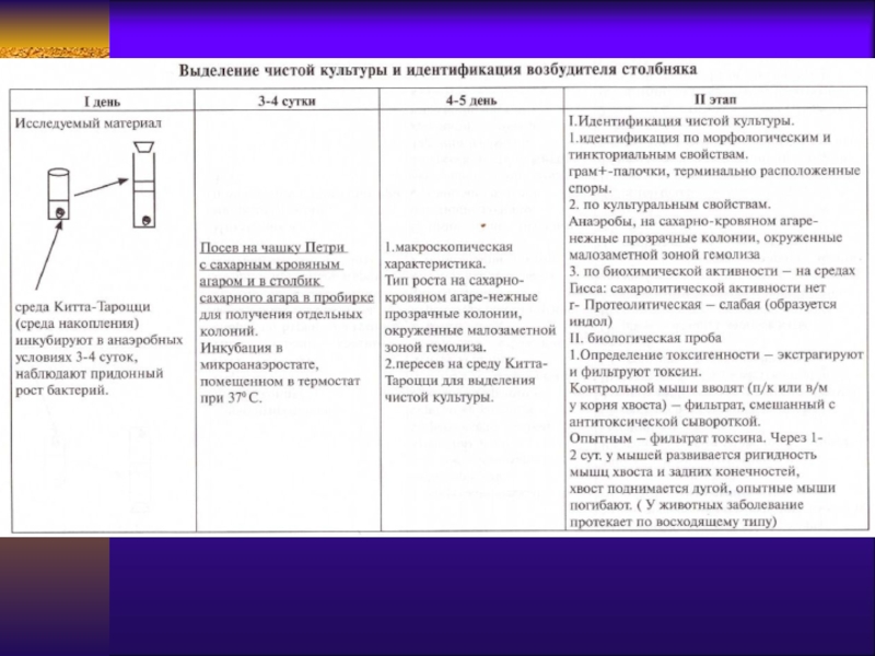 Идентификация культуры