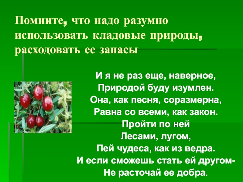 Презентация лесная аптека