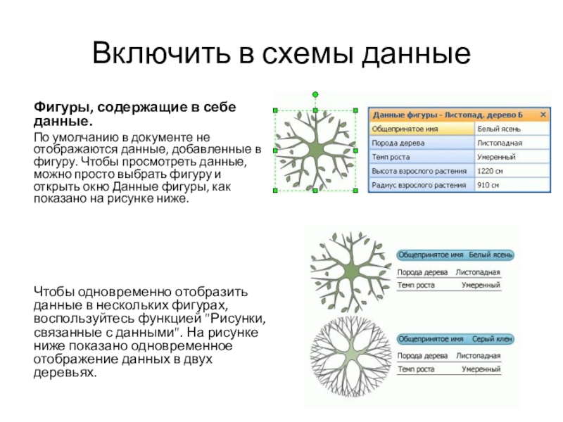 Включить в схемы данныеФигуры, содержащие в себе данные.По умолчанию в документе не отображаются данные, добавленные в фигуру.