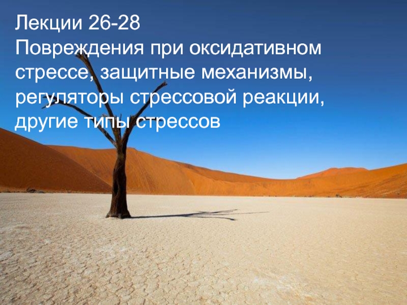 Лекции 26-28
Повреждения при оксидативном стрессе, защитные механизмы,