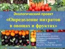 Определение нитратов в овощах и фруктах