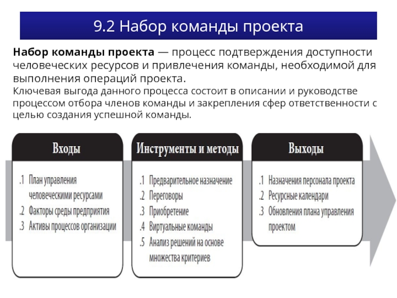 Описание команды проекта пример