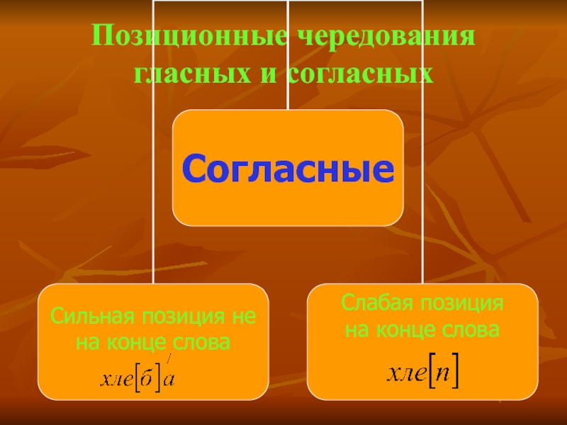 Проанализируйте позиционные чередования. Позиционное чередование гласных и согласных. Позиционные чередования гласных. Позиционные чередования гласных и согласных звуков. Позиционное чередование гласных звуков.