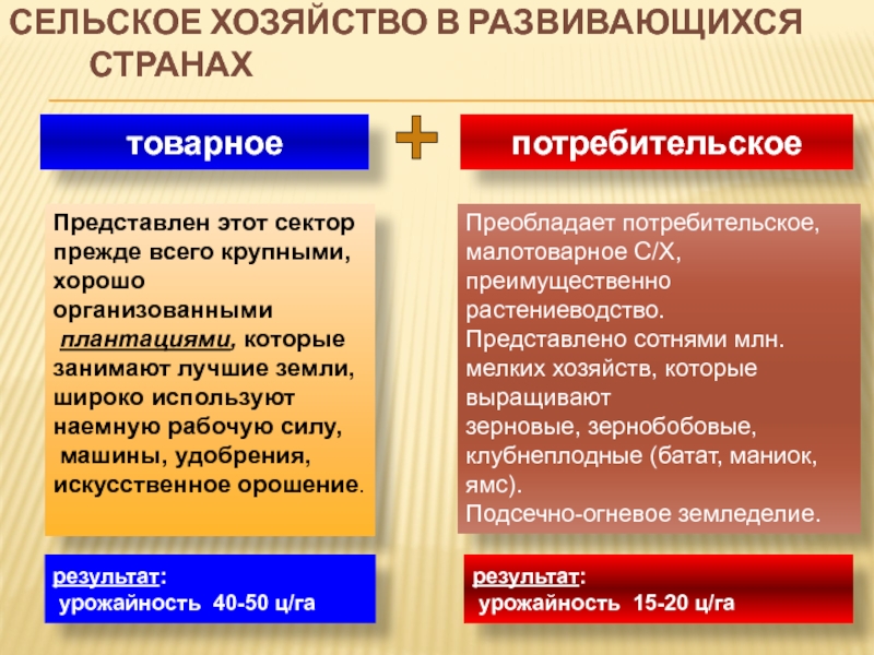 Презентация география сельского хозяйства и рыболовства 10 класс география