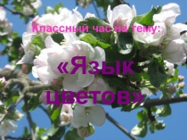 Язык цветов