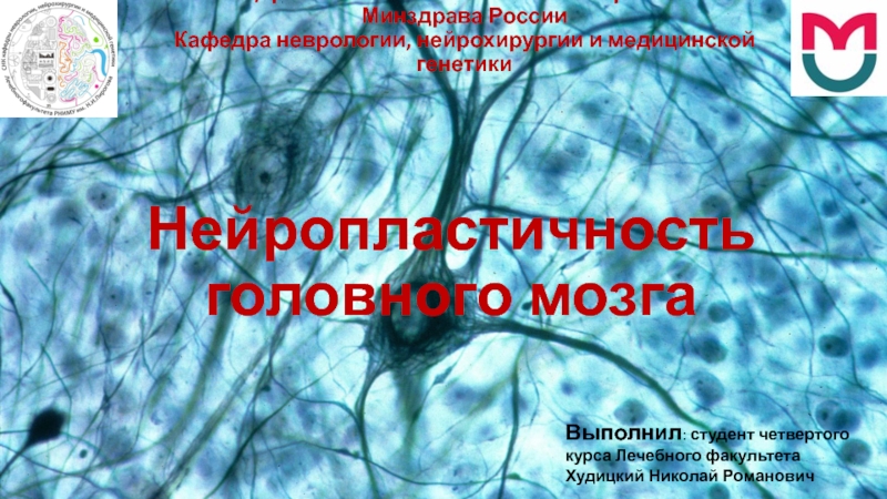 л / ф ФГБОУ ВО РНИМУ им. Н.И. Пирогова Минздрава России Кафедра неврологии,