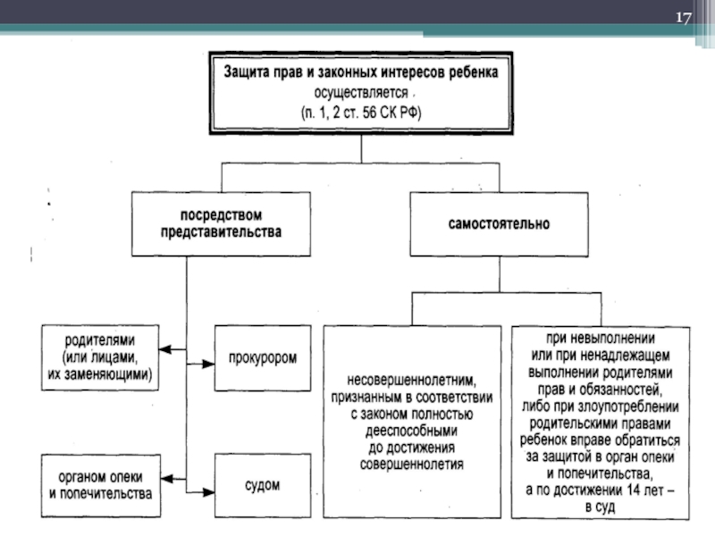 Составьте схему прав детей