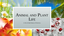 Animal and Plant Life 