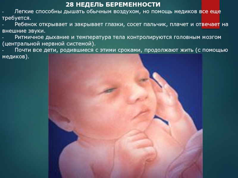 28 недель это. Ребёнок на 28 неделе беременности. Ребёнок на 26 неделе беременности. Малыш на 28 неделе беременности.