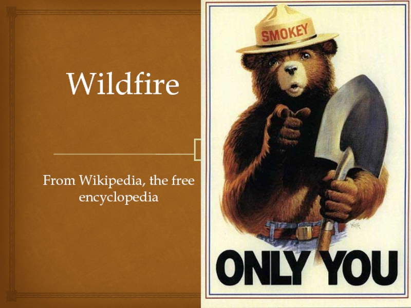 Презентация Wildfire