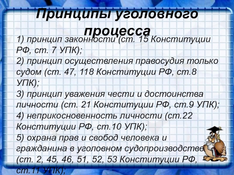 Особенности уголовного процесса презентация