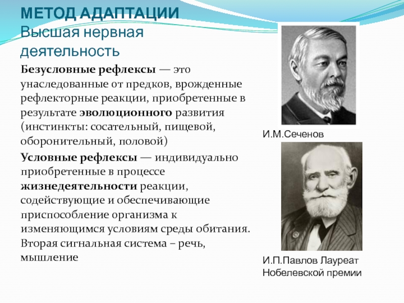 Автор учения об условных рефлексах. Врожденные рефлексы Сеченов. Форма адаптации у условных рефлексов. Кто открыл условный рефлекс.