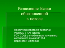 Разведение белки обыкновенной в неволе