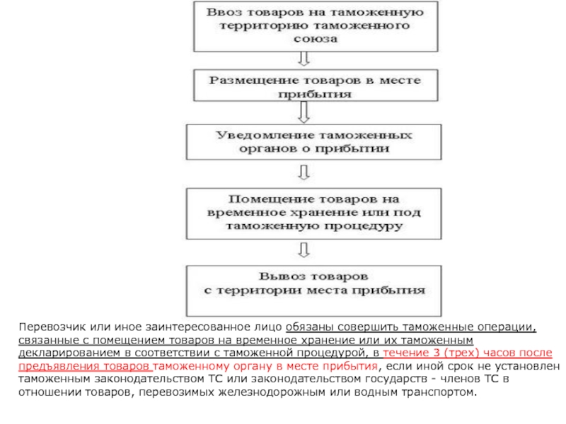 Помещение товаров на временное хранение схема