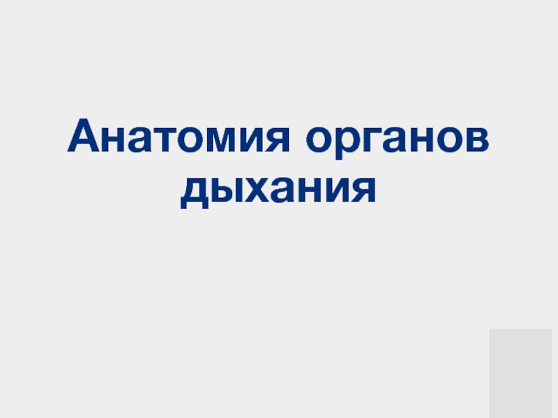 Презентация Анатомия органов дыхания