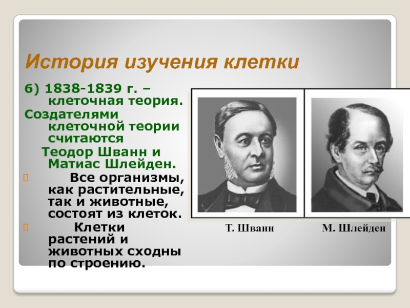 Согласно клеточной теории. Шванн 1839. Теодор Шванн и Шлейден. Матиас Шлейден клеточная теория. Вклад в изучение клетки Шлейден.