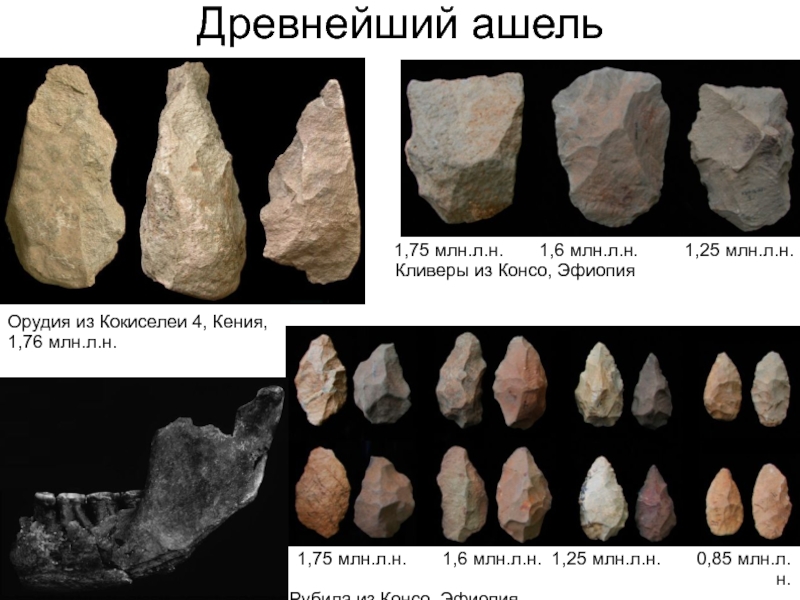 Орудие труда обработанное методом унифас. Палеолит Олдувай Ашель Мустье. Ашельские каменные орудия. Каменные орудия эпохи Ашель. Рубило Ашель.