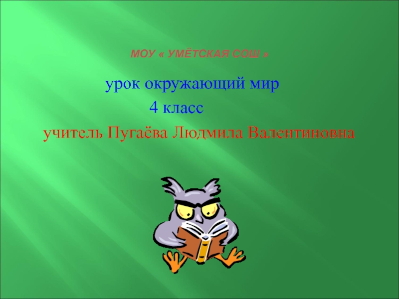 Презентация Жизнь леса. Лес - природное сообщество 4 класс