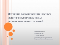 Изучение возобновления лесных культур в различных типах лесорастительных условий.