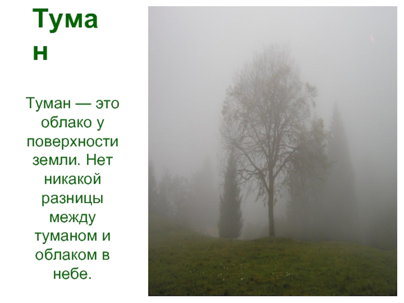 Туман текст. Туман слова. Мифы о тумане. Туман это явление природы или нет. Туман с текстом доброго дня.