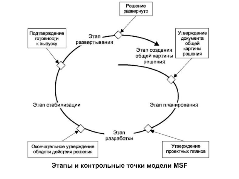 Этапы и контрольные точки проекта