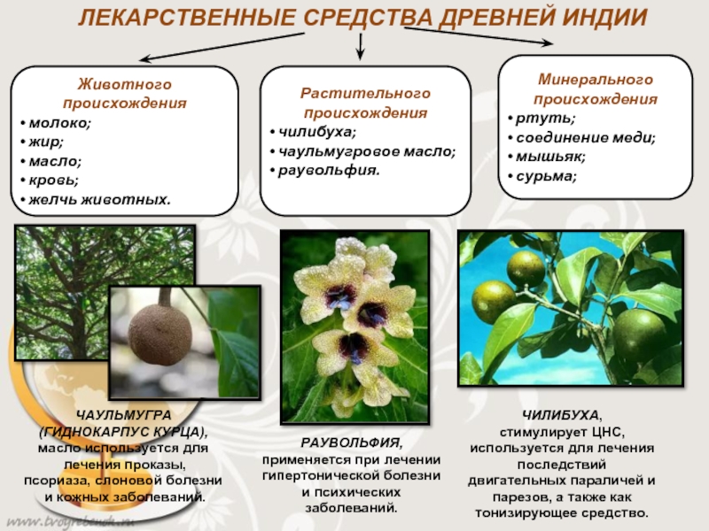 Тонкая нить растительного животного или минерального происхождения