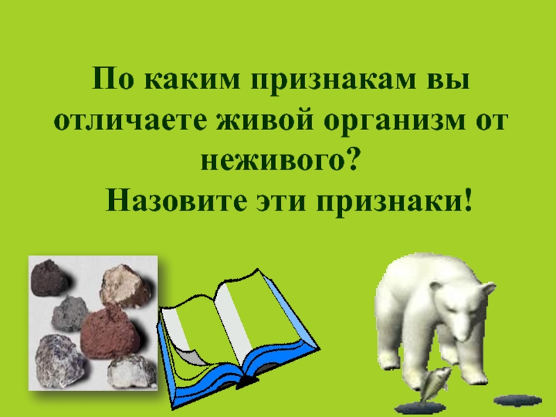 Переход от неживого к живому. Какими признаками отличается живое от неживого. Какие особенности отличают живые организмы от неживых организмов. Какие признаки отличают живое вещество от неживого?. Признаком, отличающим живое от неживого, является:.