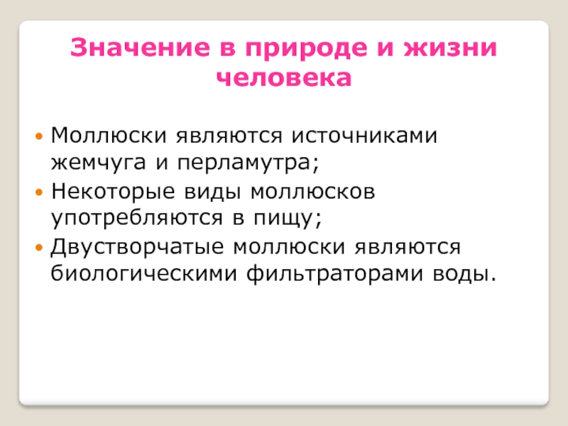 Роль моллюсков. Значение моллюсков в природе и жизни человека. Роль моллюсков в природе и в жизни человека. Роль двустворчатых моллюсков в природе. Значение двухсторчятых в природе.