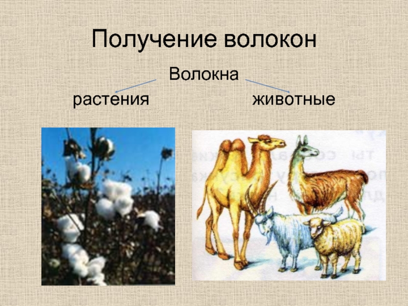 Получение волокон