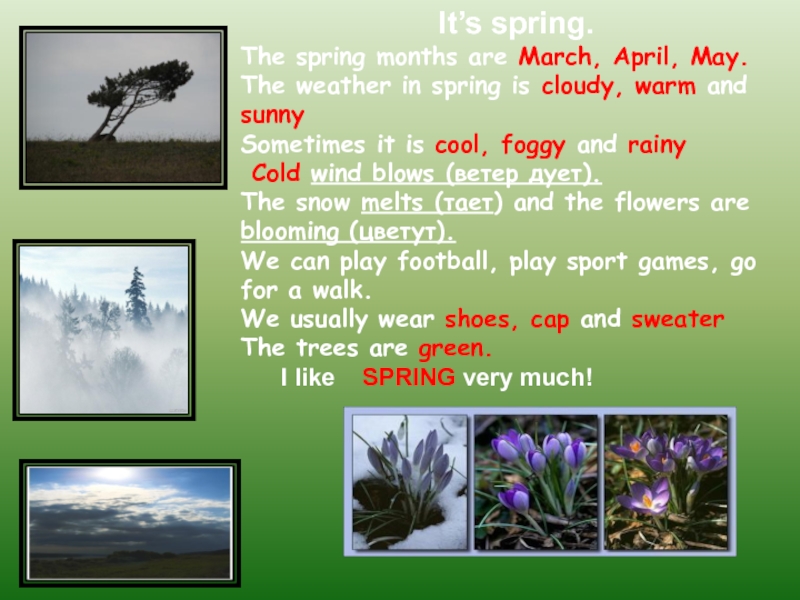 January is cold month of the. Проект про весну на английском.
