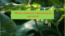 Общее строение и физиология растений