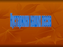 Презентация к уроку по окружающему миру 