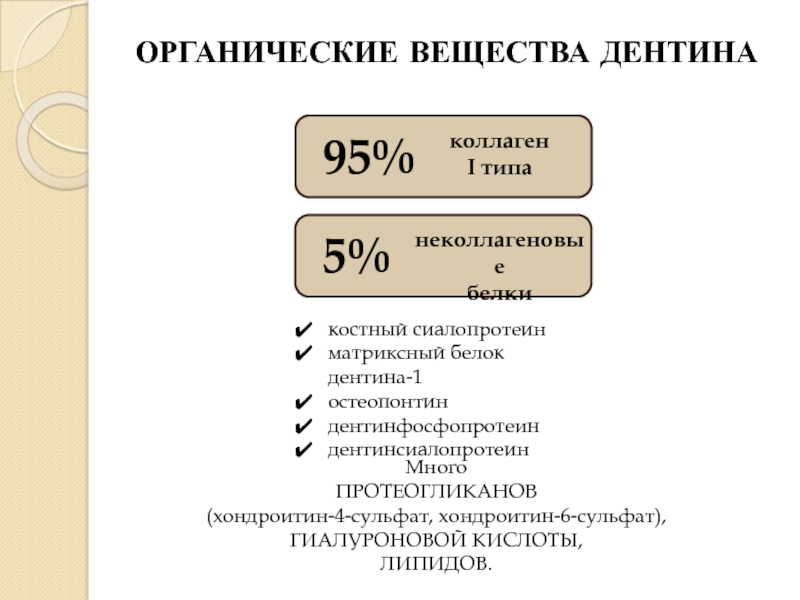 Доклад: Белок остеопонтина