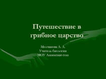 Путешествие в грибное царство