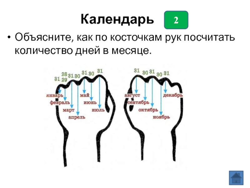 Сколько дней имеет месяц. Дни месяца по костяшкам. Число дней в месяце по костяшкам. Как по костяшкам посчитать сколько дней в месяце. Как посчитать сколько дней в месяце по косточкам.