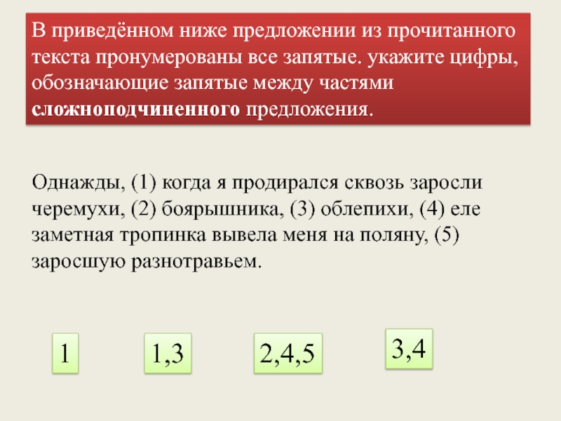 Прочитайте текст обозначенными цифрами. Обозначающие запятые между частями сложноподчинённого предложения.. Однажды в предложении. Предложение со словом заросли. Однажды запятая.